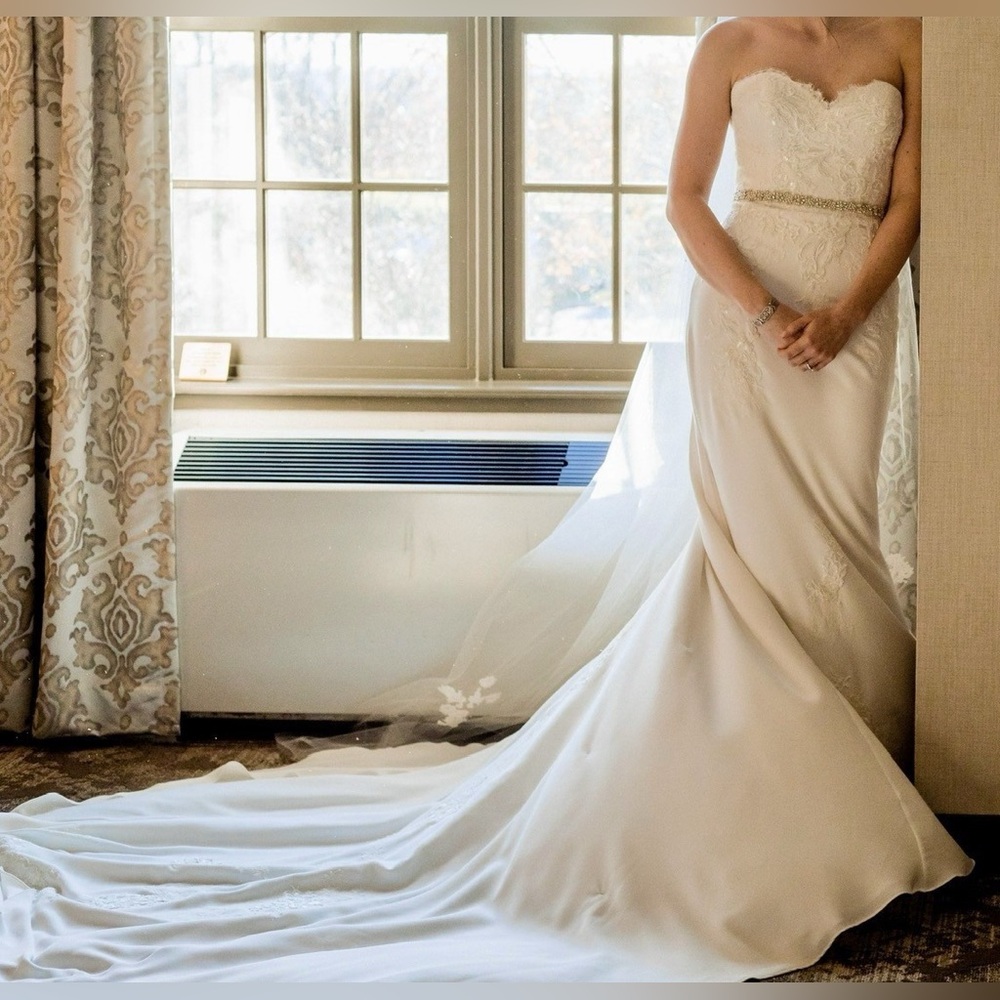 Pronovias Ankara Wedding Dress